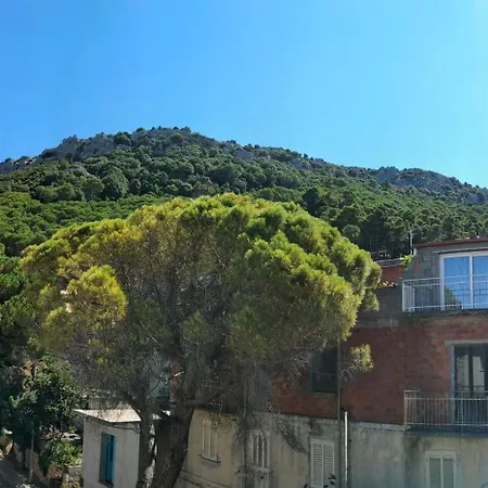 La Casa Di Nonna Bonaria