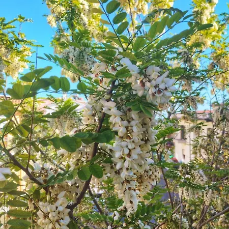 La Casa Di Nonna Bonaria Appartamento *