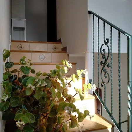 La Casa Di Nonna Bonaria